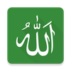 99 Names of Allah Pro