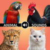 Animal Ringtones - Bird Sounds