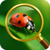 Bug Identifier AI: Insect ID
