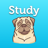 StudyPug — Expert Math Tutors