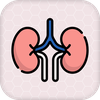 Renal Physiology Kidney Diseas