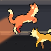 Cat Run!