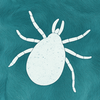 Tick Detector: Pet Tick Scan