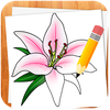 How to Draw Flowers