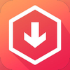 iTube: Video Downloader
