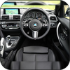 POV Car Driving