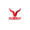 Big Bull Investments