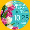 Talex Spring Watch Face