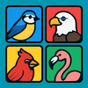 Tile Puzzle: World of Birds