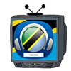 Tanzania TV Radio