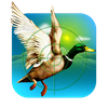 Duck Hunting Adventures Mania