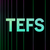 TEFS: Crypto Trading Simulator