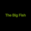 The Big Fish