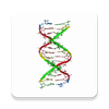 DNA and RNA Codon Converter