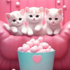 Cute Cat Wallpapers 4K