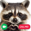 Raccoon Prank Call & Chat