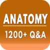 Anatomy NCLEX