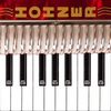 Hohner Piano Accordion