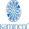 Kamineni Patient Portal