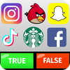 Logo Game : True False Puzzle