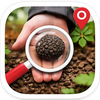 Truffle Hunter and Identifier