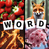 4 Images 1 Word Puzzle