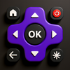 Universal TV Remote Control