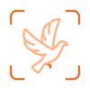 Bird Identifier: Scanner Guide
