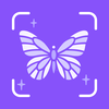 Insect Identifier: Scanner AI
