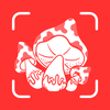 Mushroom Identifier AI PRO