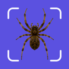 Spider Identifier:Scanner AI+