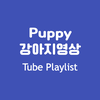 Puppy Tube Playlist