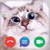 Kitty Call: Play with Cats