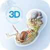 Embryo Master-3D Learning Tool