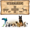 Vets & Veterinary Clinics- USA