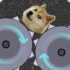 ​​Viral Roller Doge