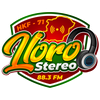 Lloro Stereo