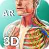 Ar Human Anatomy