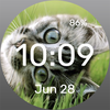 Cat on the Lawn - Watch Face
