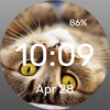 Kotofey - Watch Face