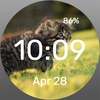 Interested Kitty - Watch Face