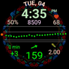 DMM13 Diabetic Watch Face