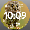 Watch Face - Owl