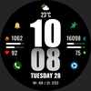 WFP 244 Sports watch face