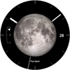 Big Moon Phase Watch Face