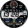 FSW205 WATCHFACE
