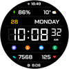 LCD IV Watch Face