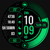 MDS445 Digital Watch Face