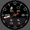 N-SPORT521 Classic Watch Face
