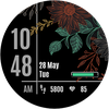 NXV92 Flora Elegant Watch Face